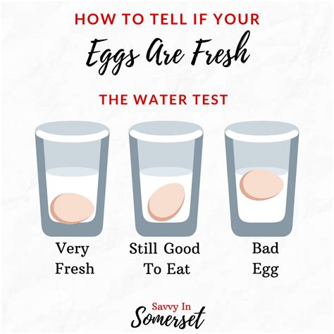 testing the hardness of an egg|how to test for eggs.